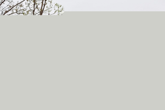 thumb_20230428161544_289